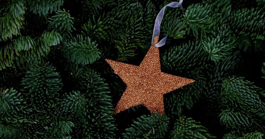 Star ornament on tree