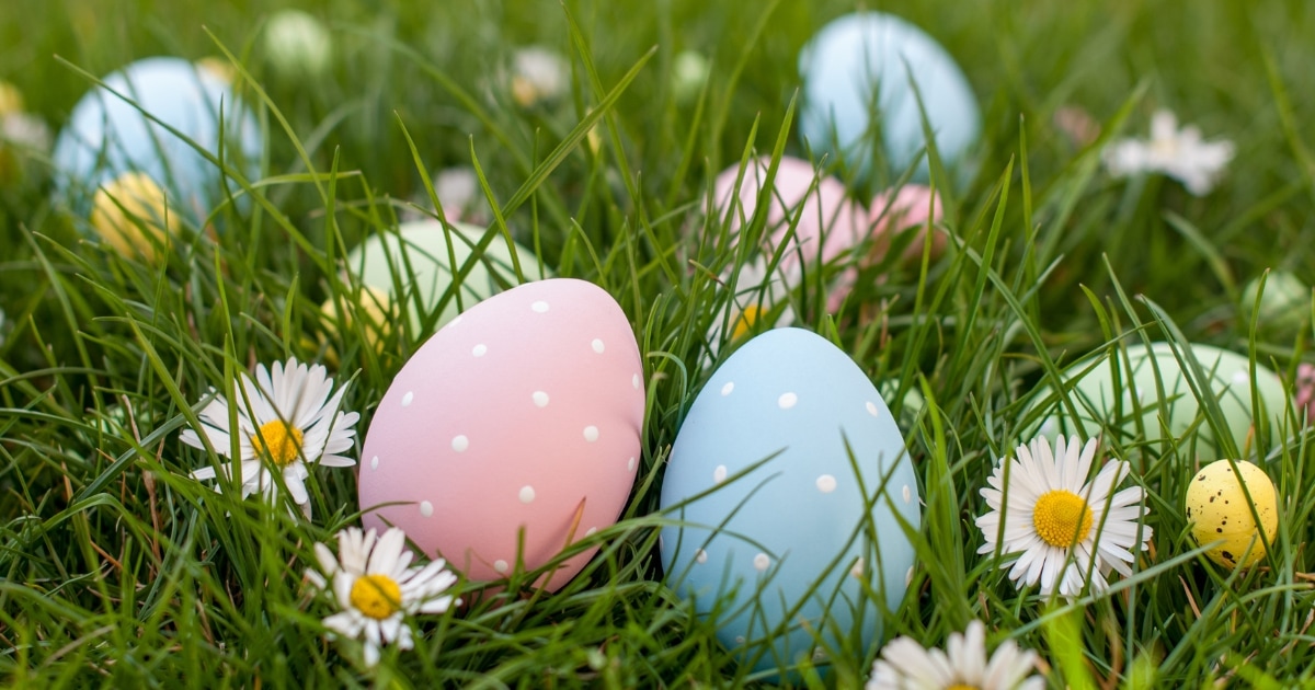 Easter eggs in field