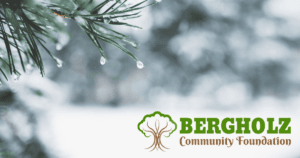 Image of a pine tree branch with snow with the Bergholz Community Foundation logo in the right hand corner.